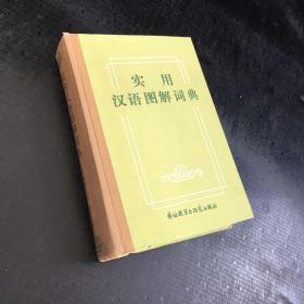 实用汉语图解词典【封面书口书角有伤】