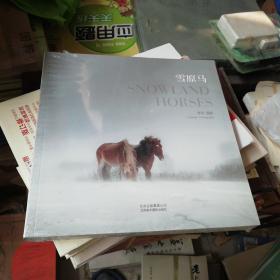 雪原马 李刚