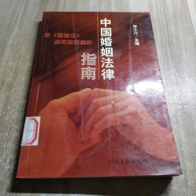 中国婚姻法律指南:新《婚姻法》适用案例精析（图书馆藏书内容干净）