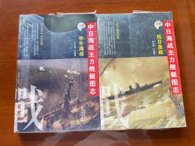中日海战主力舰艇图志（上册+下册）：甲午海战、抗日血战