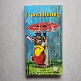 I Am a Bunny（我是一只兔子）英文版