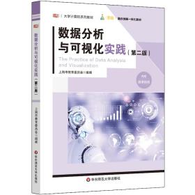 【正版新书】 数据分析与可视化实践（第二版） 朱敏 华东师范大学出版社