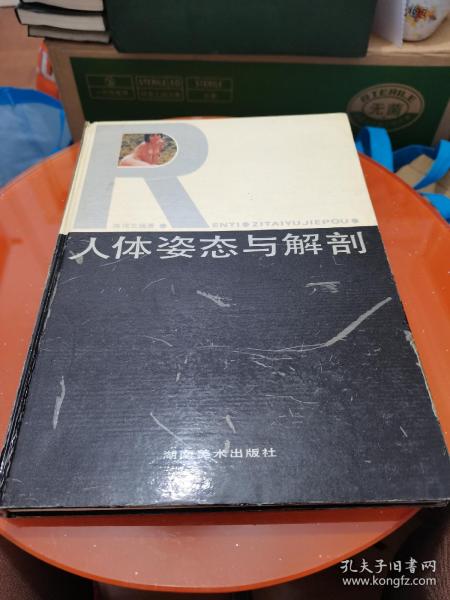 人体姿态与解剖