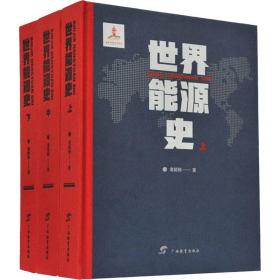 世界能源史(全3册) 能源科学 龙裕伟 新华正版