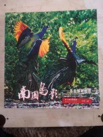 南国鸟影——鸟类摄影解读 （大开本、铜版纸彩印、图文并茂） 全新 定价238元