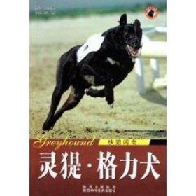 新华正版 世界名犬-灵提格力犬 王晓 9787536946781 陕西科学技术出版社 2010-01-01