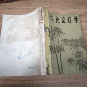 中医治疗学