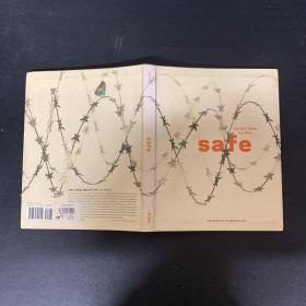 Safe: Design Takes on Risk；安全：设计承担风险；英文原版