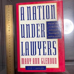 A nation under lawyers how the crisis of legal profession transforming American education culture society philosophy language history 英文原版精装
