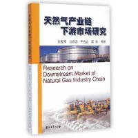 【正版书籍】天然气产业链下游市场研究