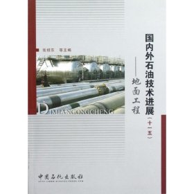 正版书国内外石油技术进展:十一五地面工程