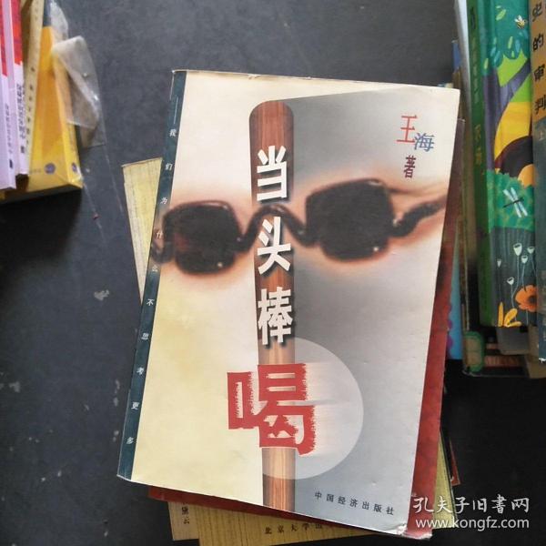 当头棒喝作者：王海 . .出版社：中国经济出版社 . .出版时间：不详装帧：