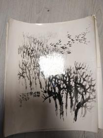 八九十年代孙其峰国画大张照片