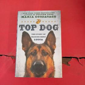 Top Dog  The Story of Marine Hero Lucca
