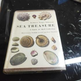 kathleen yerger johnstone set  treasure a guide to shell collecting