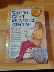 What to Expect When You're Expecting, Third Edition（16开）