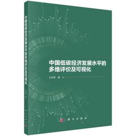 全新  中国低碳经济发展水平的多维评价及可视化 王宗军 著 新华文轩网络书店 图书