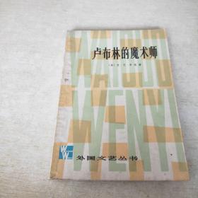 卢布林的魔术师