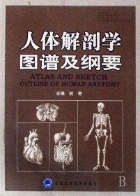 人体解剖学图谱及纲要 林奇 9787810719285 北京医大