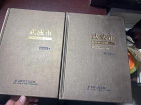 武威市标准地名词典、武威市标准地名巨（共两册合售）