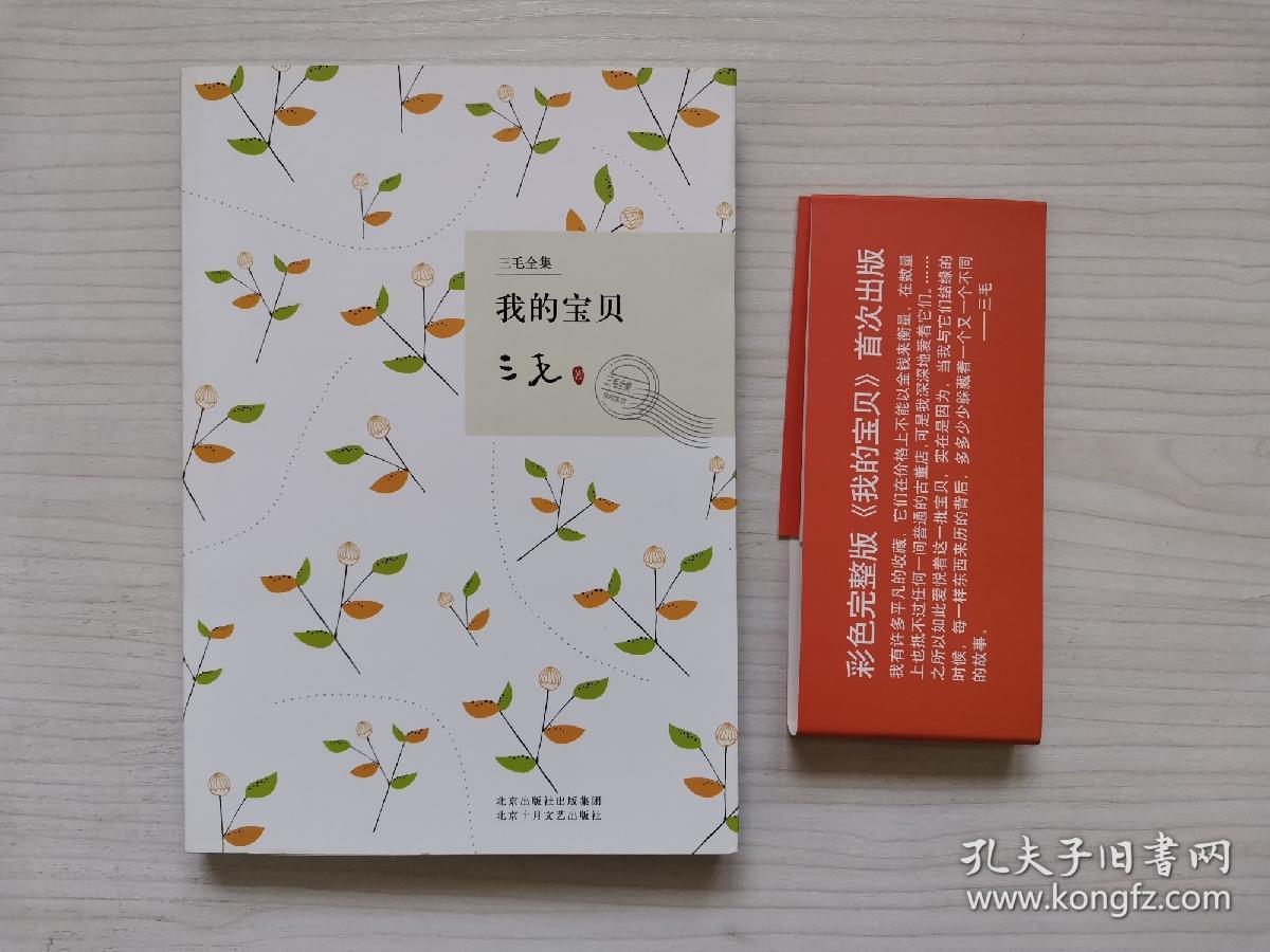 我的宝贝三毛全集09