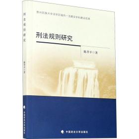 刑法规则研究 法学理论 陈孝 新华正版