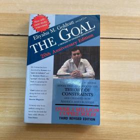 The Goal：A Process of Ongoing Improvement