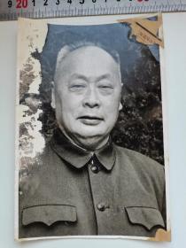 无产阶级革命家陈毅同志照片17*11厘米