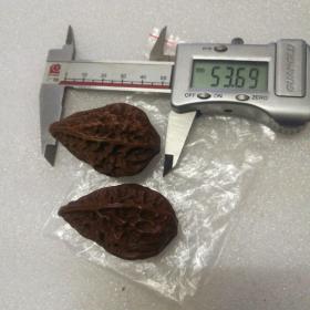 自然玩红的东北秋子32