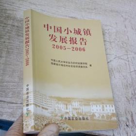 中国小城镇发展报告2005/2006