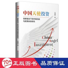 中国天使投资 创新驱动下的市场机制与政策体系研究 股票投资、期货 王佳妮
