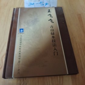 王飞飞青山绿水技法入门（6张DVD)