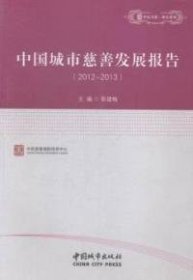 中国城市慈善发展报告2012-2013