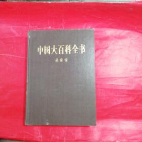 中国大百科全书总索引