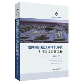 浦东国际机场港湾机坪及飞行区综合体工程(机场建设管理丛书)戴晓坚上海科学技术出版社