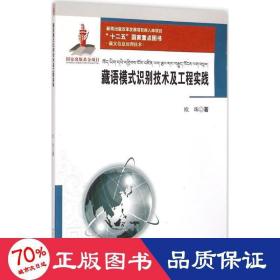 藏语模式识别技术及工程实践 软硬件技术 欧珠  新华正版