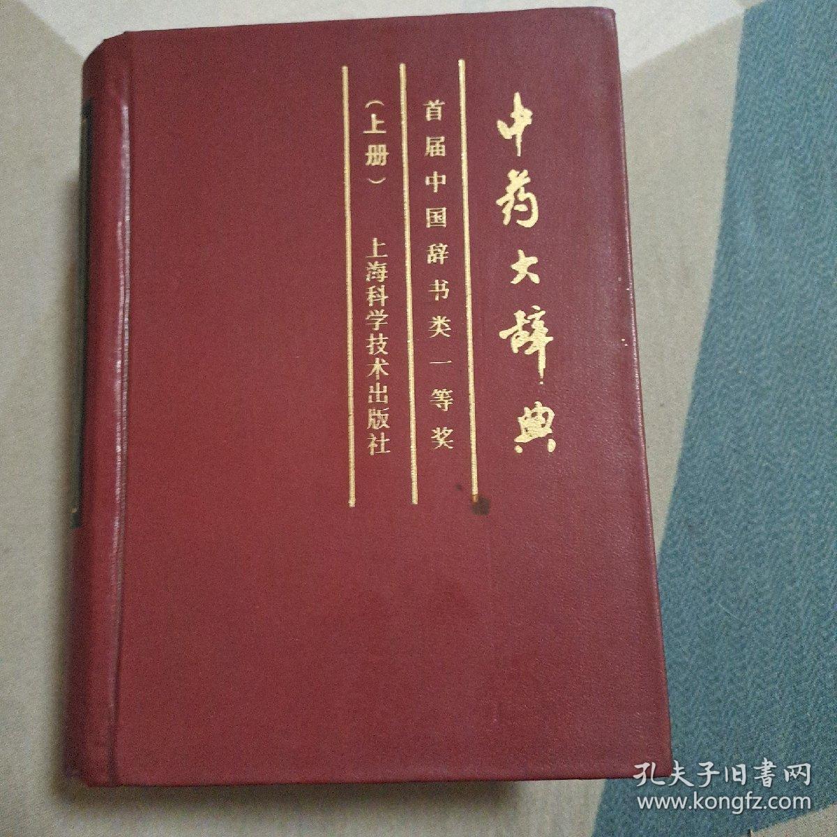 中药大辞典上下册