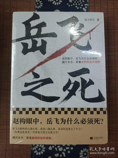 岳飞之死（岳飞为什么必须死？翻开本书，看懂皇权的运作逻辑。《如果这是宋史》作者高天流云全新力作！）
