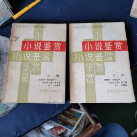 小说鉴赏（上下册 ）