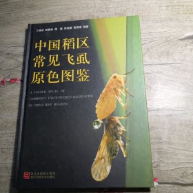 中国稻区常见飞虱原色图鉴（16开精装彩图本）