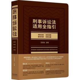 刑事诉讼法适用全指引 王迎龙主编 9787521619737 中国法制出版社