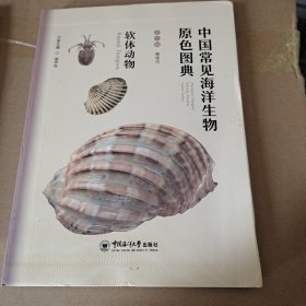 中国常见海洋生物原色图典——软体动物