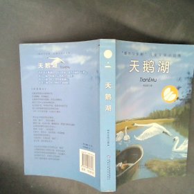 【正版图书】天鹅湖林永刚9787500786726中国少年儿童出版社2007-06-01