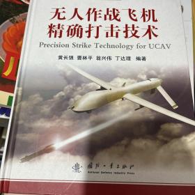 无人飞行器作战系统与技术丛书：无人作战飞机精确打击技术