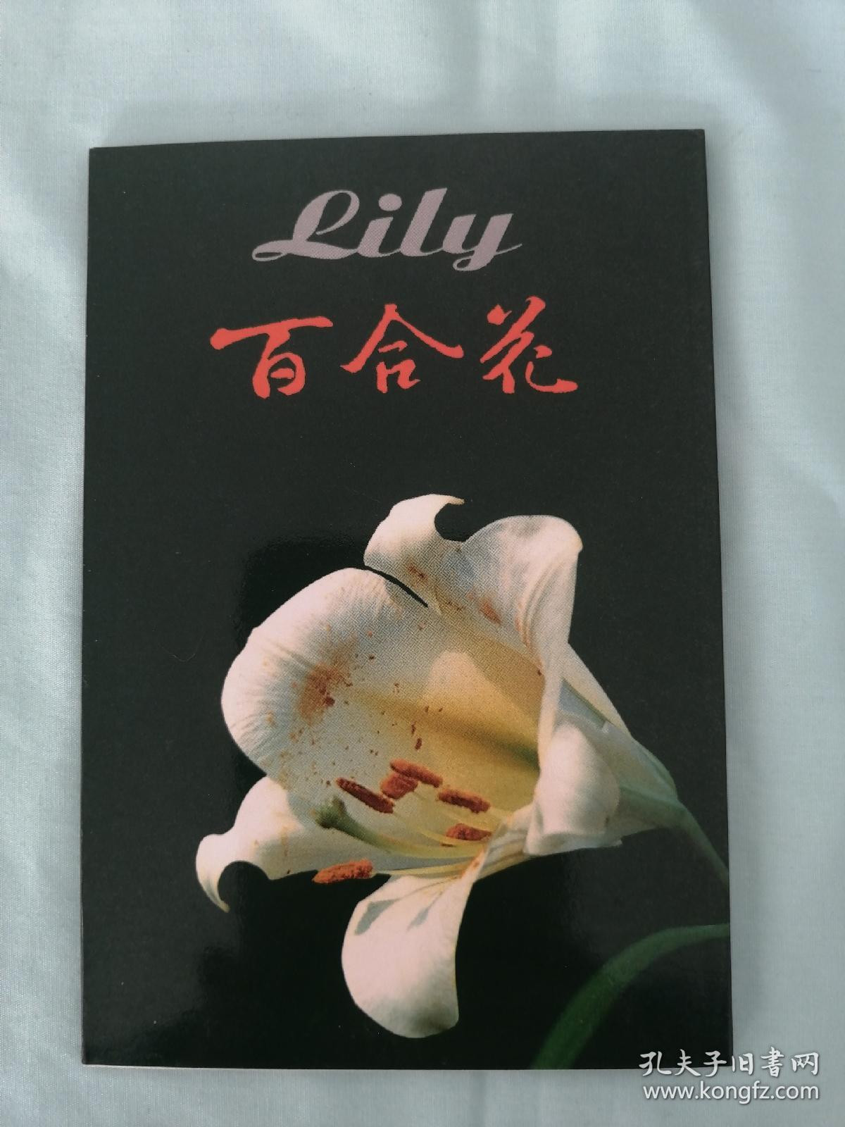百合花明信片