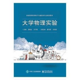 【现货速发】大学物理实验梁瑞生,王宁星,廖伯勋9787121365225电子工业出版社