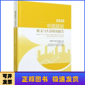 中国居民收支与生活状况报告:2020:2020