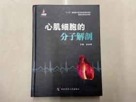 心肌细胞的分子解剖