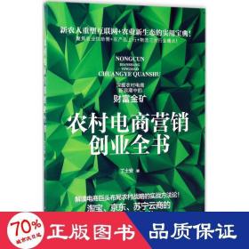 农村电商营销创业全书 电子商务 丁士安  新华正版