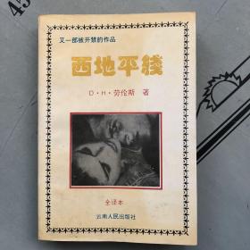 西地平线